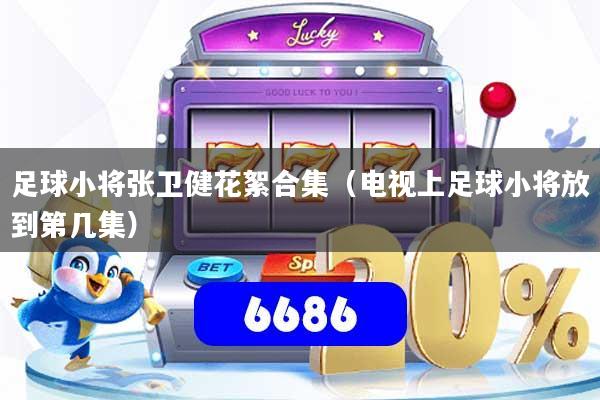 足球小将张卫健花絮合集（电视上足球小将放到第几集）